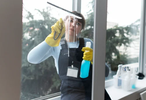Nettoyage de vitres intérieures et extérieures à Montchal